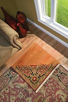 An area rug's corner is pulled back to reveal a different color to the flooring underneath, where the sun hasn't hit it.